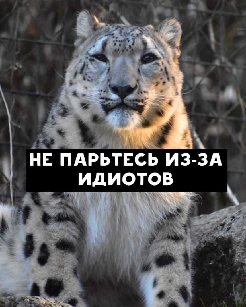 http://forumupload.ru/uploads/0014/ea/21/82/33404.jpg