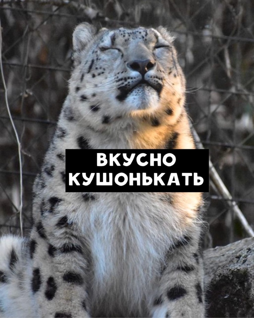 http://forumupload.ru/uploads/0014/ea/21/82/70574.jpg