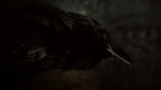 http://forumupload.ru/uploads/0015/be/68/2/747789.gif