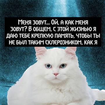 http://forumupload.ru/uploads/0017/a5/fb/161/t649631.jpg