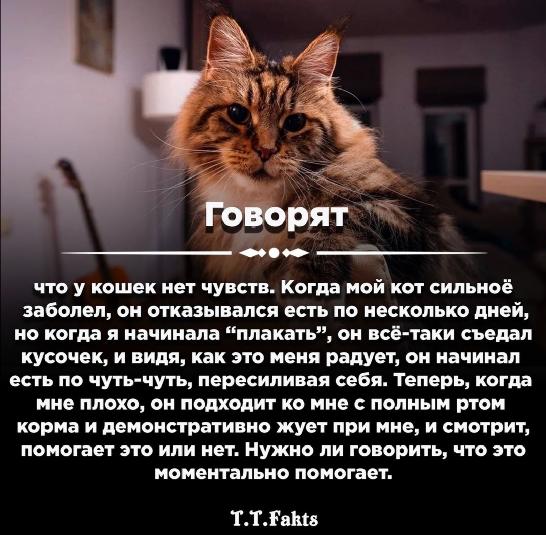 http://forumupload.ru/uploads/0018/97/46/485/894142.jpg