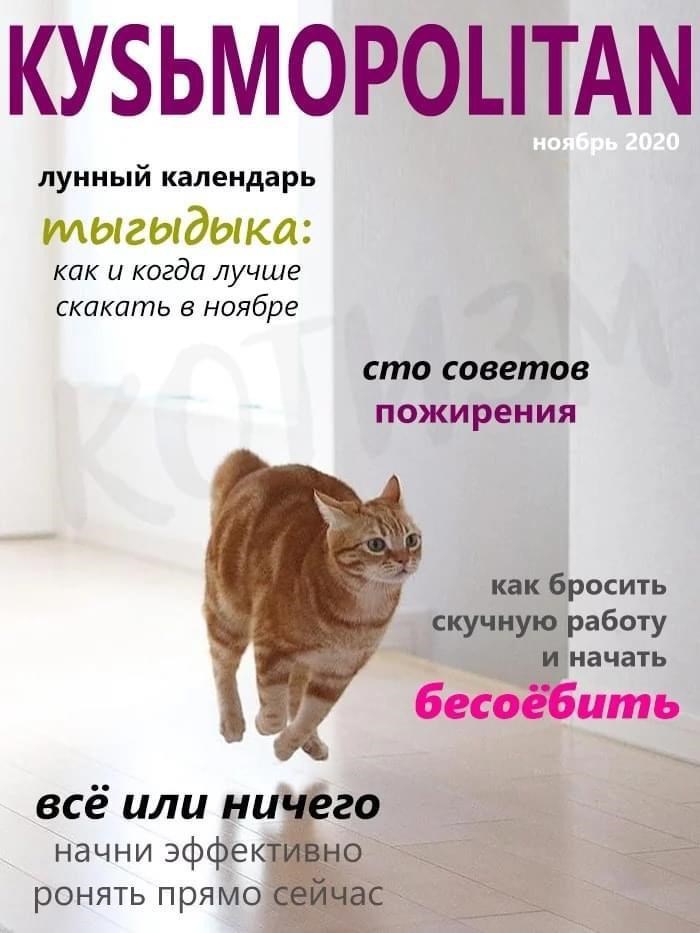 http://forumupload.ru/uploads/0018/97/46/485/986543.jpg