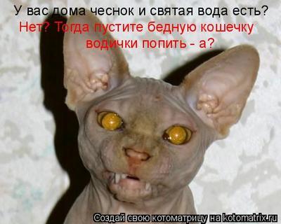 http://forumupload.ru/uploads/0019/3a/78/34/693077.jpg