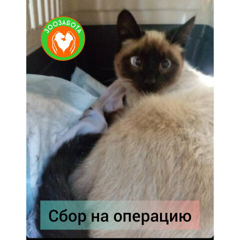 http://forumupload.ru/uploads/0019/95/7e/3/t256087.jpg