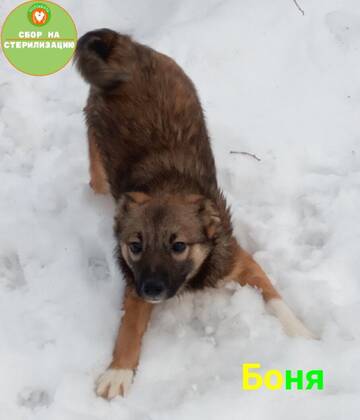 http://forumupload.ru/uploads/0019/95/7e/42/t337838.jpg