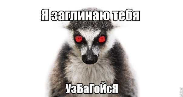 http://forumupload.ru/uploads/0019/b5/94/59/302724.jpg
