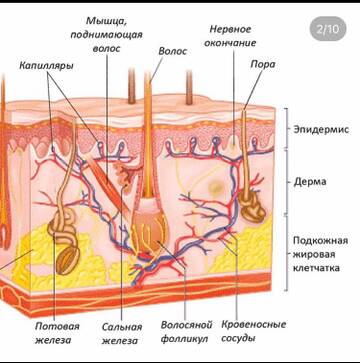 http://forumupload.ru/uploads/0019/b7/31/626/t831278.jpg