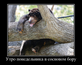 http://forumupload.ru/uploads/001a/01/81/2/t264960.png