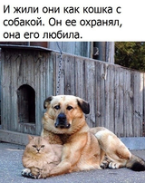 http://forumupload.ru/uploads/001a/01/81/2/t639967.png