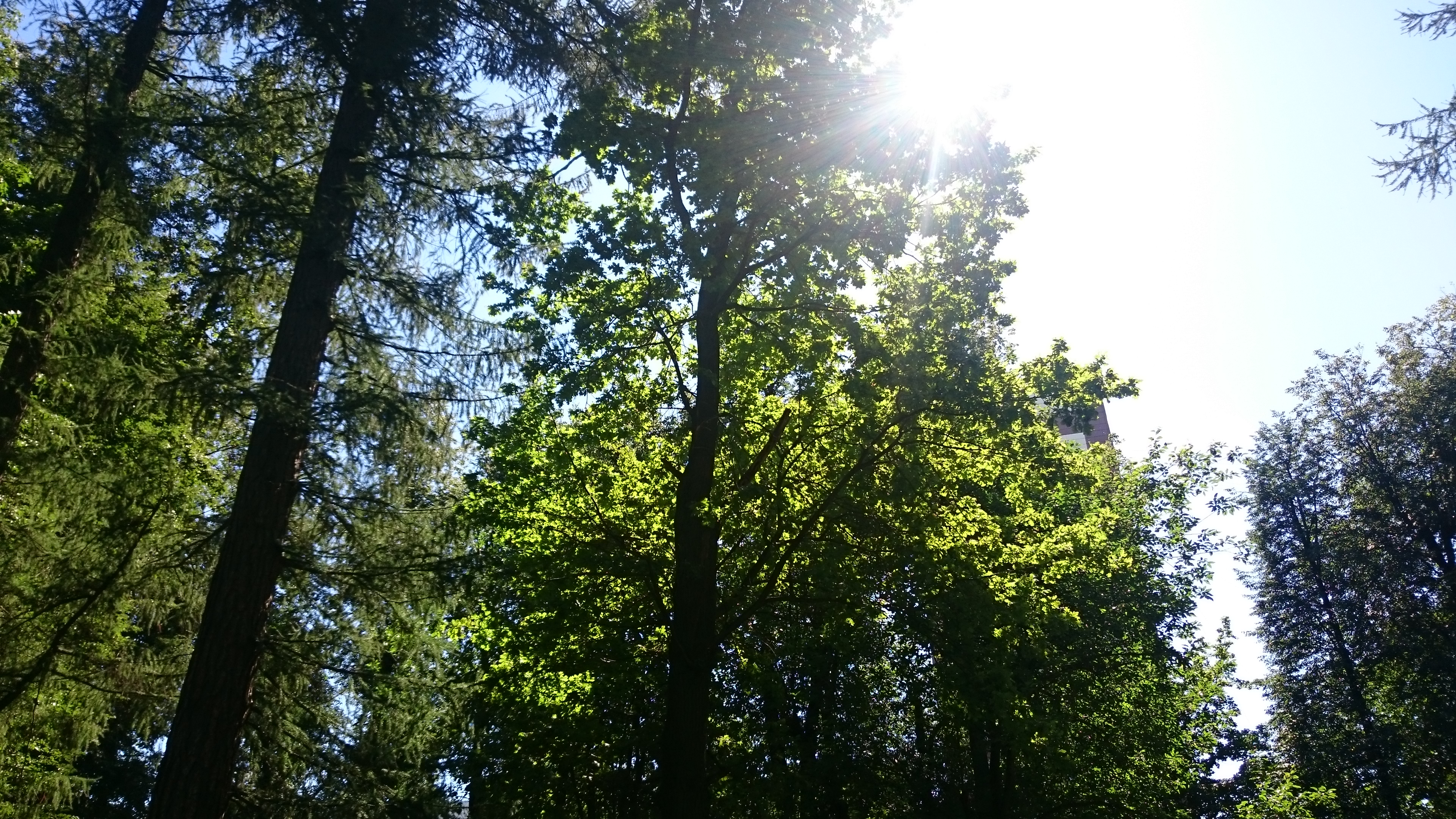 http://forumupload.ru/uploads/001a/39/7c/175/688050.jpg