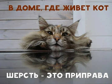 http://forumupload.ru/uploads/001a/39/7c/319/t349982.jpg