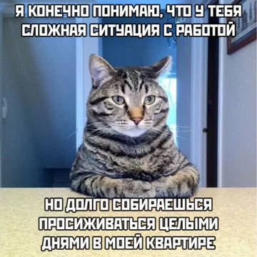 http://forumupload.ru/uploads/001a/39/7c/319/t53367.jpg