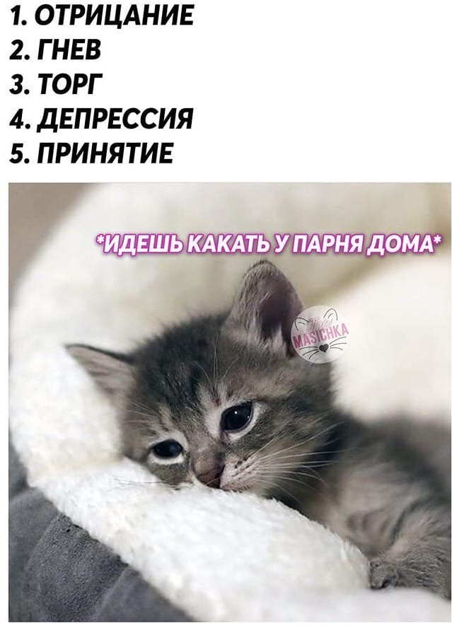 http://forumupload.ru/uploads/001a/74/14/197/842847.jpg