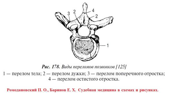 http://forumupload.ru/uploads/001a/7e/41/2/t182549.jpg