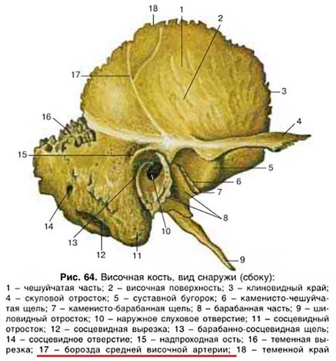 http://forumupload.ru/uploads/001a/7e/41/2/t242528.jpg