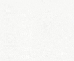 http://forumupload.ru/uploads/001a/80/6d/2/t388371.gif