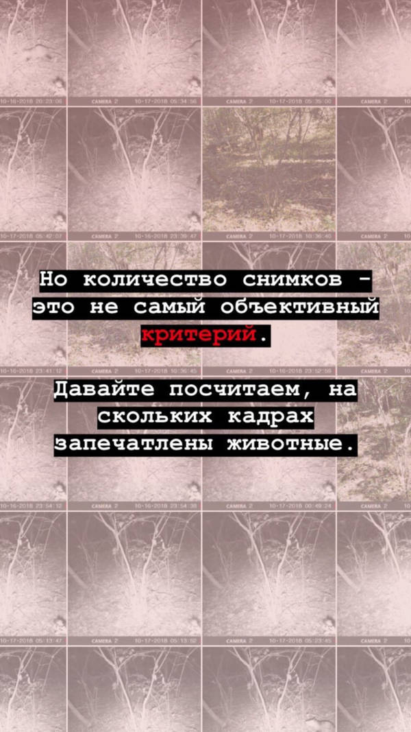 http://forumupload.ru/uploads/001a/8c/05/2/t35675.jpg