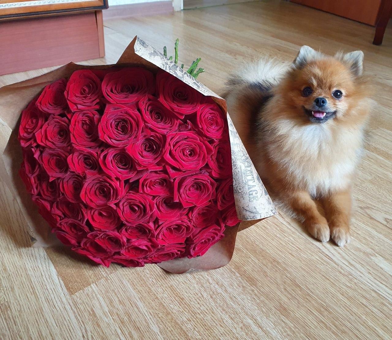 http://forumupload.ru/uploads/001a/a8/4a/2/986544.jpg