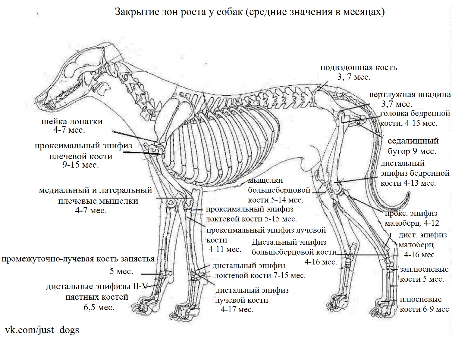 http://forumupload.ru/uploads/001a/ad/be/3/27178.jpg