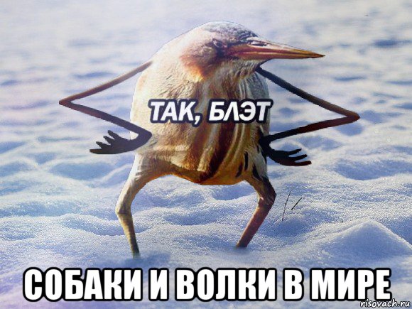 http://forumupload.ru/uploads/001a/af/e5/2/731496.jpg