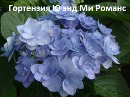 http://forumupload.ru/uploads/001a/b2/60/3/473522.jpg