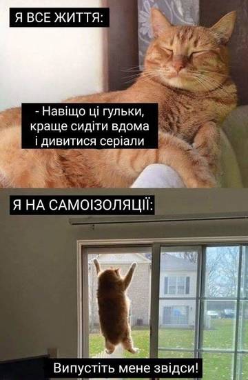 http://forumupload.ru/uploads/001a/b7/a9/3/t324925.jpg