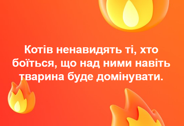 http://forumupload.ru/uploads/001a/b7/a9/3/t361247.png