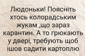 http://forumupload.ru/uploads/001a/b7/a9/3/t524984.png