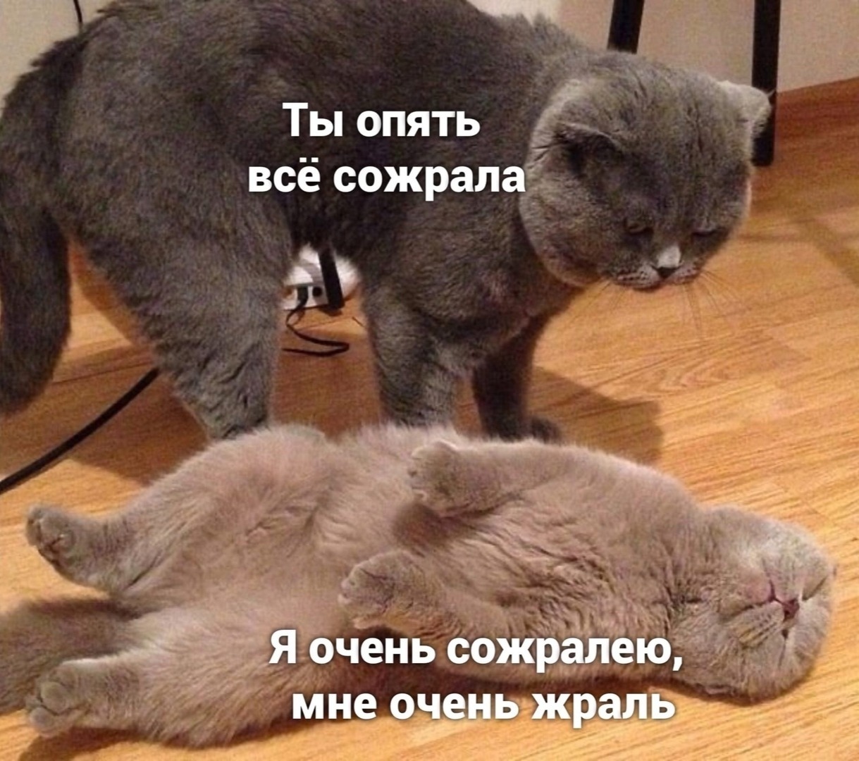 http://forumupload.ru/uploads/001a/c9/03/13/131338.jpg