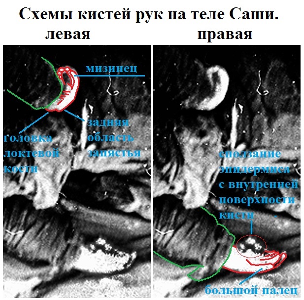 http://forumupload.ru/uploads/001a/f5/a1/2/181467.jpg