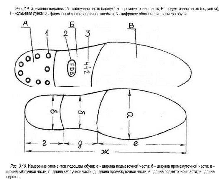 Обозначьте и укажите на рисунке части следа босой ноги