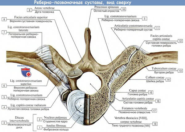 http://forumupload.ru/uploads/001a/f5/a1/2/t119684.jpg