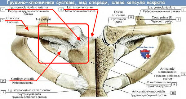 http://forumupload.ru/uploads/001a/f5/a1/2/t195596.jpg