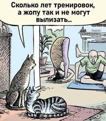 http://forumupload.ru/uploads/001b/4f/36/27/t864320.jpg