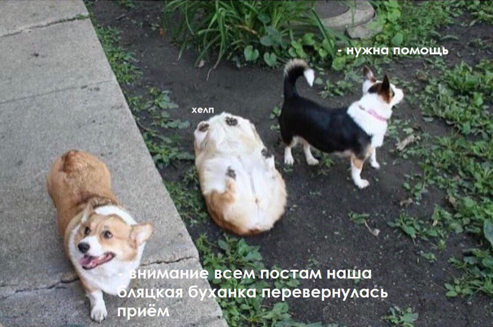 http://forumupload.ru/uploads/001b/94/82/82/440244.jpg