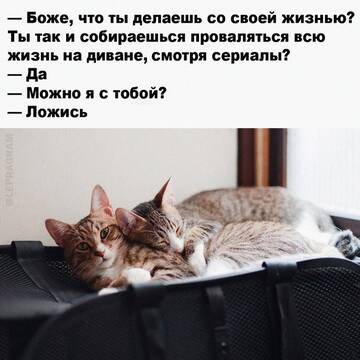 http://forumupload.ru/uploads/001b/a2/9e/3/t789650.jpg