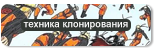 за твинка
