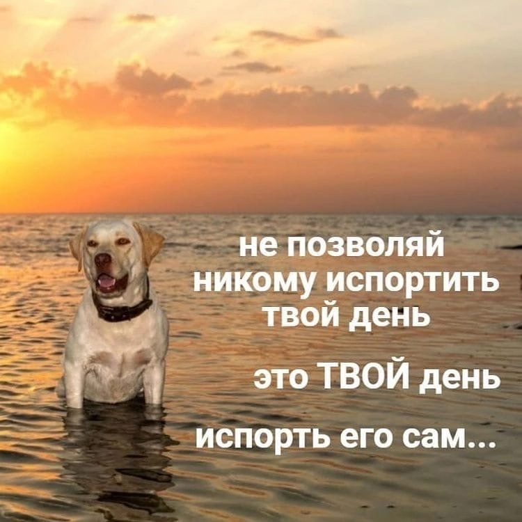 http://forumupload.ru/uploads/001b/d4/8f/70/123799.png