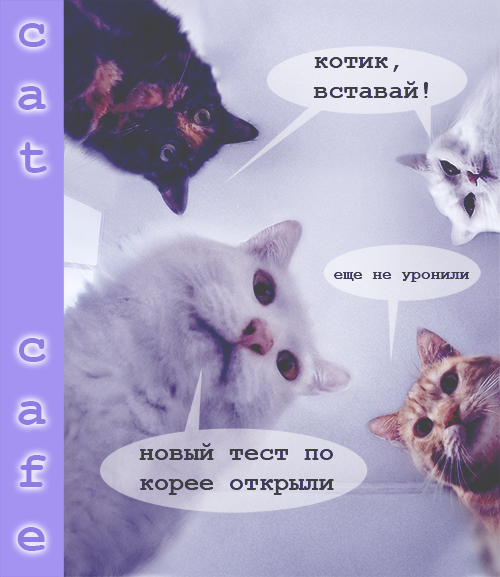 http://forumupload.ru/uploads/001b/e2/b0/6/917767.png