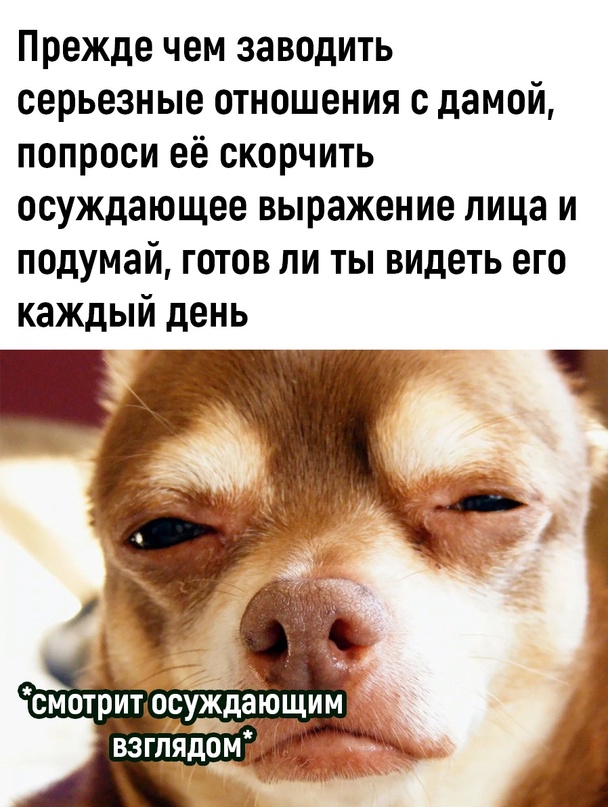 http://forumupload.ru/uploads/001b/fb/3e/17/244553.jpg