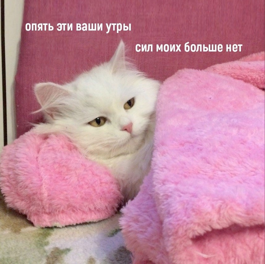 http://forumupload.ru/uploads/001b/fb/3e/17/811705.jpg