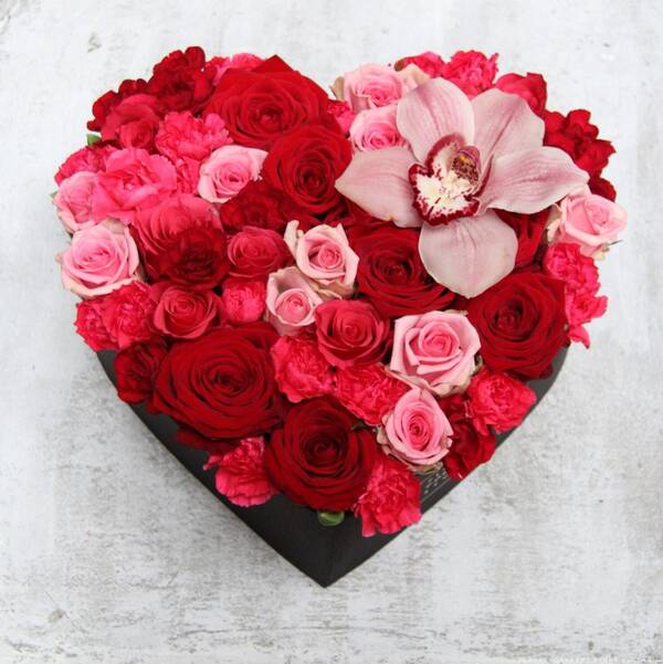 http://forumupload.ru/uploads/001c/14/0c/2/t941960.jpg