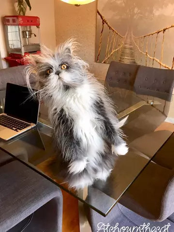 https://forumupload.ru/uploads/0000/0a/f2/12716/t825487.webp