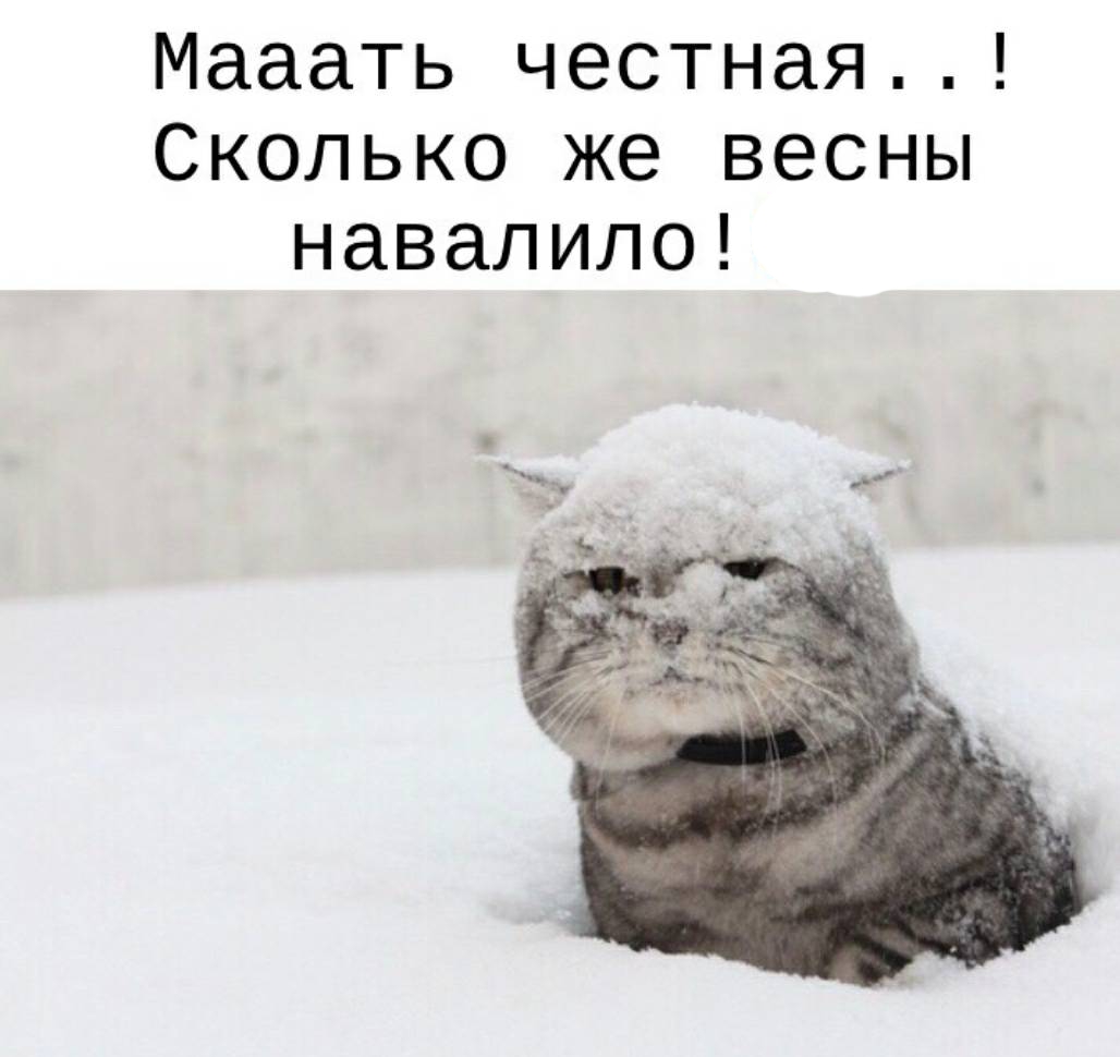 https://forumupload.ru/uploads/0000/0a/f2/12789/142648.jpg