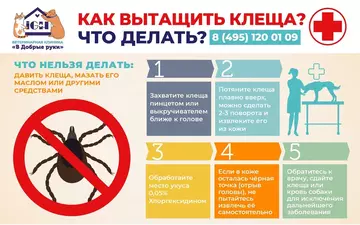https://forumupload.ru/uploads/0000/1c/6a/12614/t539428.webp