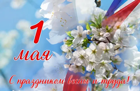 https://forumupload.ru/uploads/0000/d3/70/4918/t87669.webp