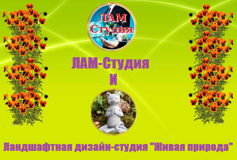 https://forumupload.ru/uploads/0000/f8/9a/4/340374.png