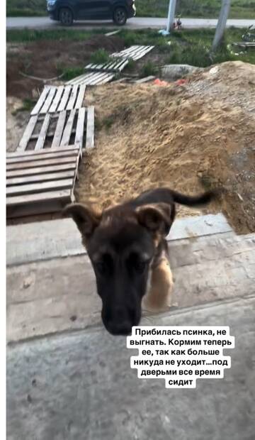 https://forumupload.ru/uploads/0001/15/60/1091/t149667.jpg
