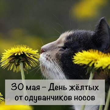 https://forumupload.ru/uploads/0001/15/60/824/t211693.jpg