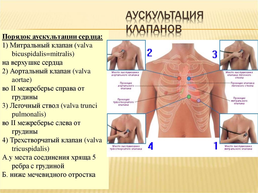 https://forumupload.ru/uploads/0001/48/78/2003/963300.jpg
